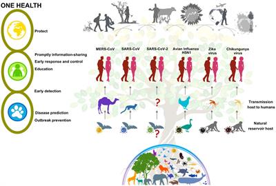 Frontiers | Emerging And Re-emerging Zoonotic Viral Diseases In ...